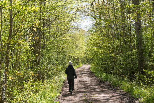 Person on a footpath in a bright green forest © olandsfokus