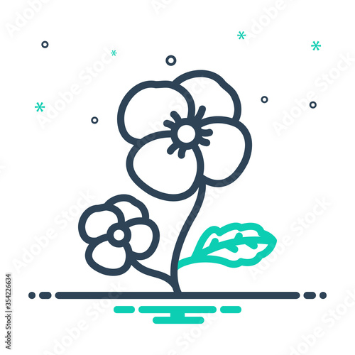 Mix  icon for pansy
