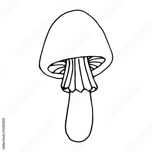 Hand drawn vector illustration of decorative mushroom. Black outlines isolated on white. Doodle style. Image for coloring book design, seasonal cards, books and other printed materials.