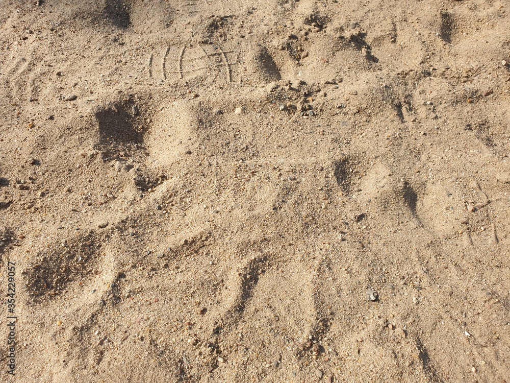 Sand Sand