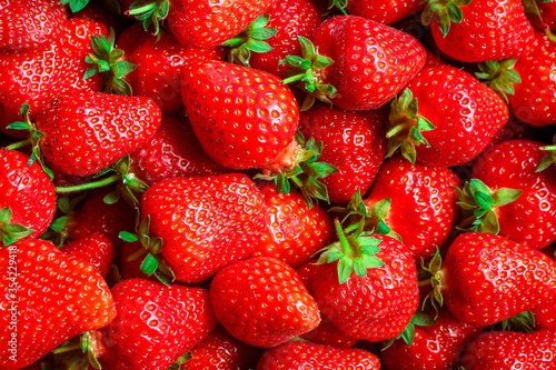 Strawberry ripe and juicy berries concept healthy eating. food background top view copy space for text