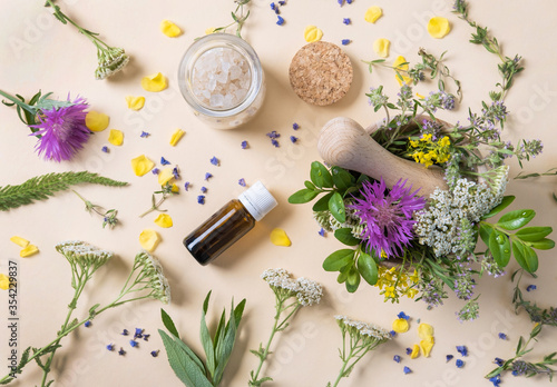 Healing herbs on a light background. Making natural cosmetics. Alternative medicine concept. Top view.