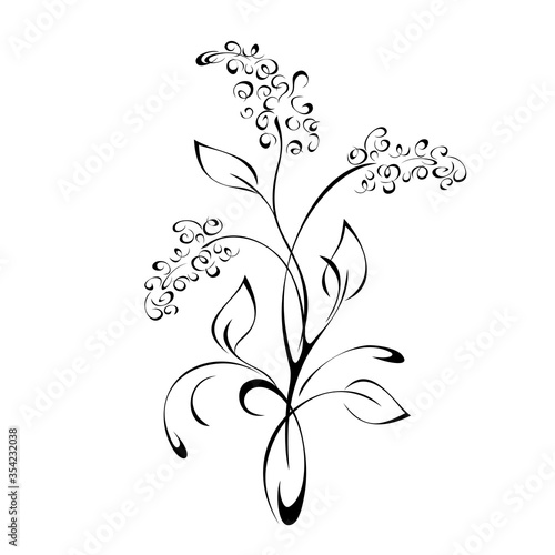 ornament 1196. decorative twig with small flowers, leaves and curls in black lines on white background