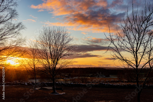 sunset in the forest