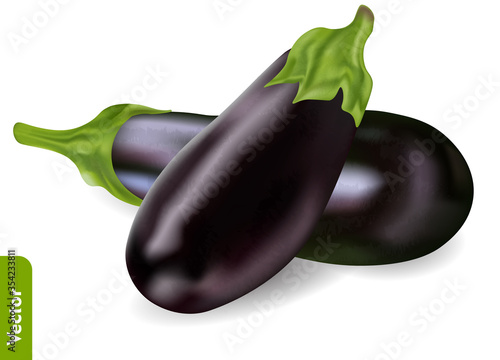 Globe purple eggplant. 3d realistic vector image of aubergine vegetables on the isolated background.