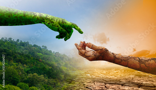 Fotografia environment concept : greengrass hand on nature mountain and dry soil hand on crack arid
