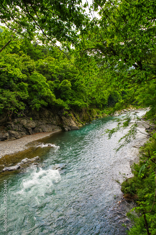 多摩川の上流にある御嶽渓流 多摩川の上流にある御嶽渓流