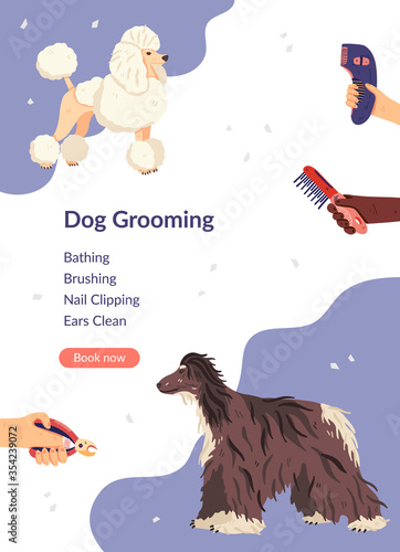 Dog grooming card template vector illustration. Flat poodle and afghan hound with groomers hands around. For landing page, pet care salon, shops, invitation, flyer, banner, poster, social network.