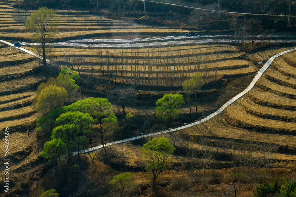 Dry land terraces in northern Shaanxi, China