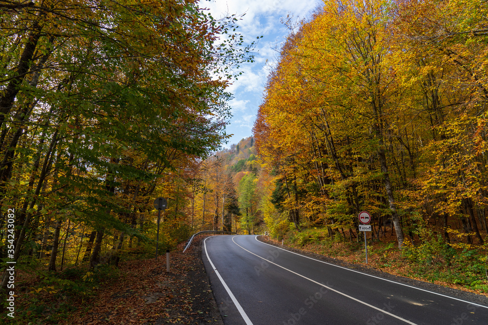 Asphalt road in the autumn forest. Asphalt road in the autumn forest.