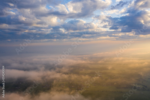 Aerial view of the swampy young pine tree forest in a morning fog at sunrise. Pure golden sunlight. Idyllic spring landscape. Central Europe