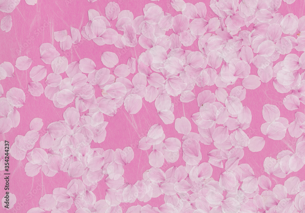 桜の花びらと和紙_03