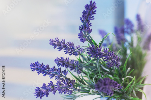 Summer floral background. Lavender flowers on a blurred light background