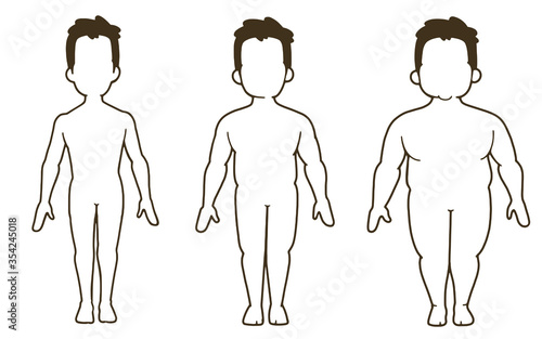 男性の体型の変化　線画　正面　3段階