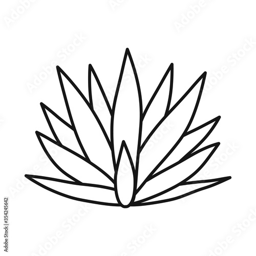 Isolated object of agave and tequila icon. Web element of agave and blue vector icon for stock.