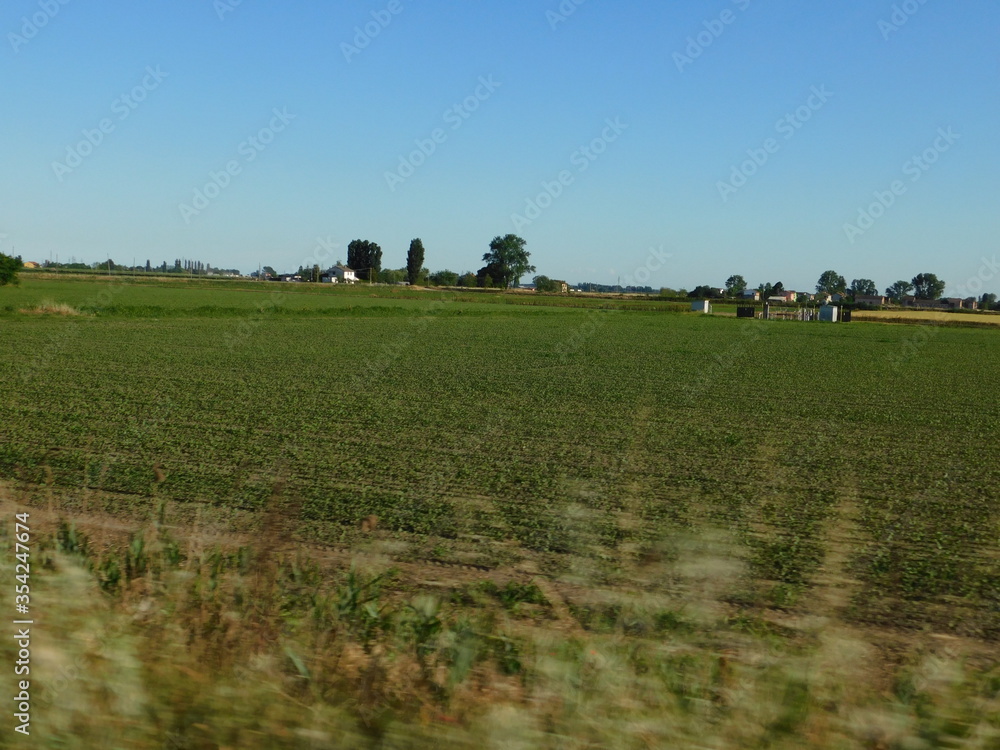 Fototapeta premium la campagna in maggio