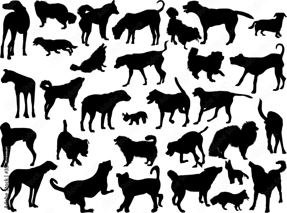 set of thirty one dogs silhouettes isolated on white set of thirty one dogs silhouettes isolated on white