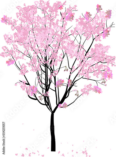 spring tree with pink blooms and petals on white © Alexander Potapov