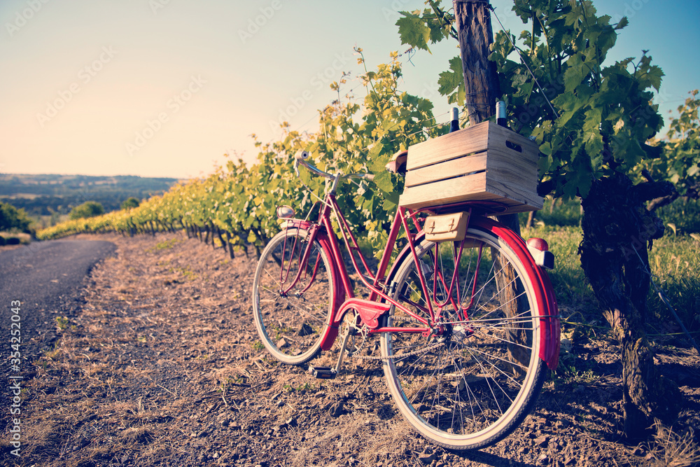 Vieux vélo rouge et bouteille de vin dans le vignoble Français.
