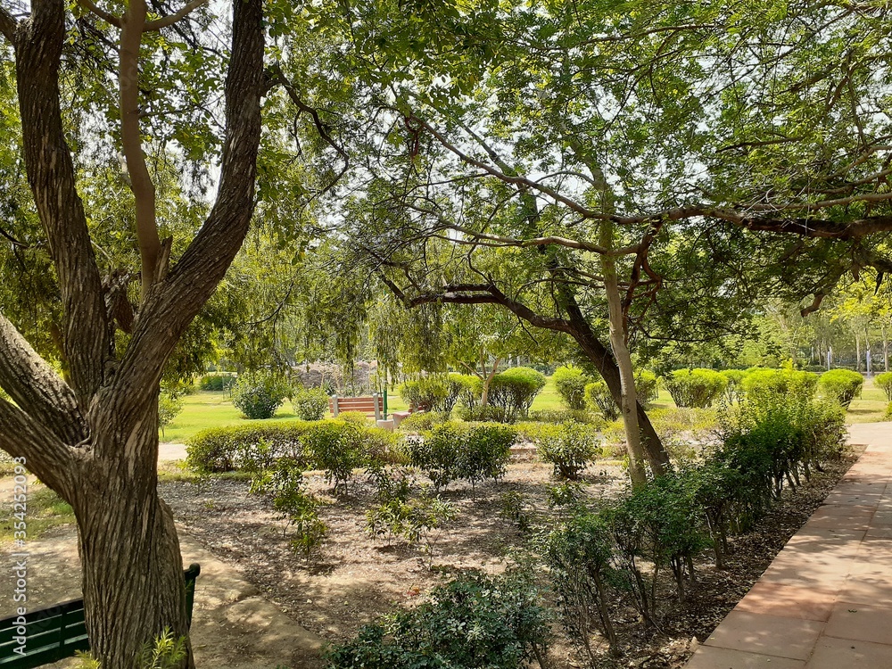 Fototapeta premium spring in the park