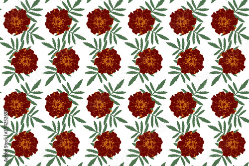 Seamless pattern with brown...