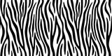 Zebra stripes seamless pattern. Endless black and white background. Vector illustration..