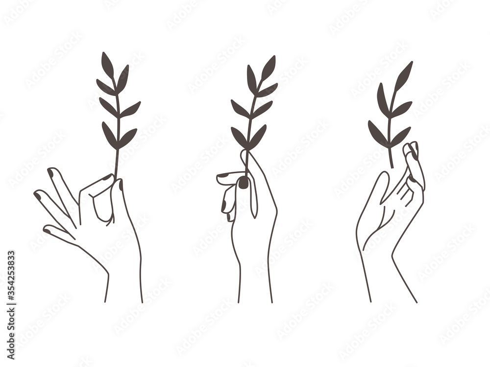 Female tattoo hands. Woman hands with black nail color hold vector drawing branches in dark style isolated on white background Female tattoo hands. Woman hands with black nail color hold vector drawing branches in dark style isolated on white background