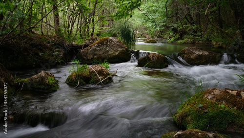 Full-flowing river in a green sunny forest.