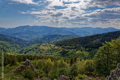 paysage des Vosges