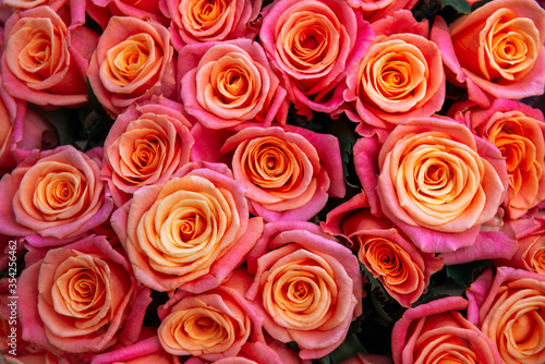 large beautiful  bouquet of tea roses  lots of fresh flowers in rose petals  plants