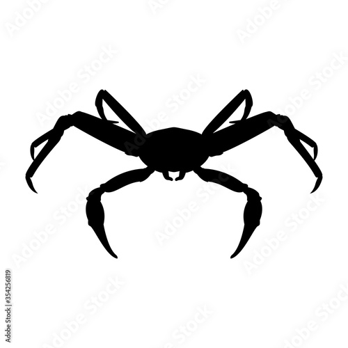 The silhouette of the snow crab is isolated on white background.