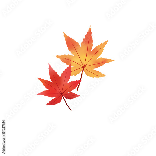 Fotografie 紅葉　もみじ　イラスト