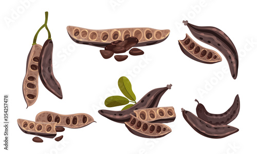 Carob Plant Edible Pods Isolated on White Background Vector Set