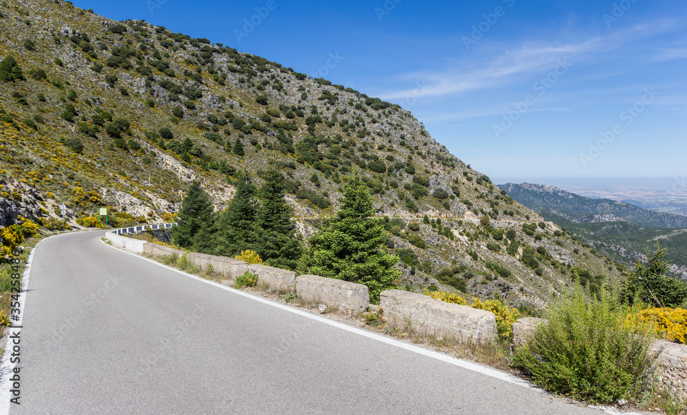 Mountain road in Grazalema national park near Zahara, Spain