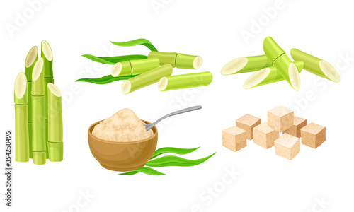 Sugar Cane Unbranched Stems with Leaves and Superfood like Brown Granulated Sugar Vector Set