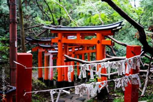 the paper-telling and torii gate on fushimi-inari trail Kyoto  Japan