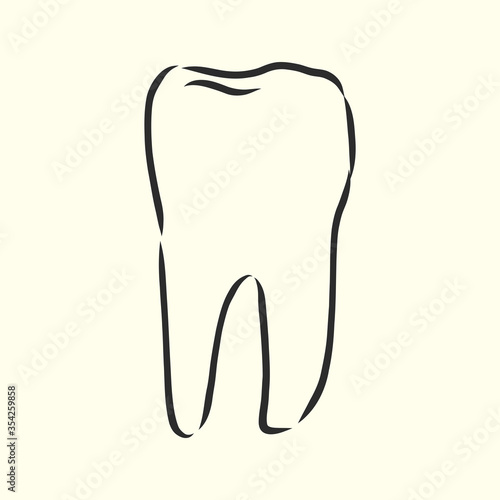 Hand-drawn black lines sketch molar, tooth. Doodle drawing. Object, manuals, books or packaging, isolated vector . human tooth, vector sketch illustration