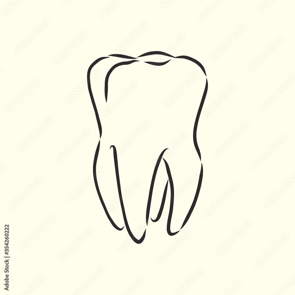 Hand-drawn black lines sketch molar, illustration, design brochures for dentistry, medical manuals, books or packaging, isolated vector . human tooth, vector sketch illustration Hand-drawn black lines sketch molar, illustration, design brochures for dentistry, medical manuals, books or packaging, isolated vector . human tooth, vector sketch illustration