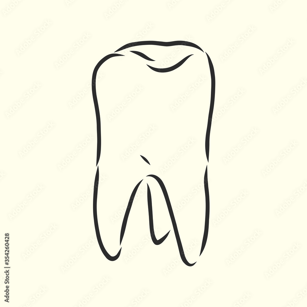 Hand-drawn black lines sketch molar, tooth. Doodle drawing. Object, Element, icon Component for illustration, isolated vector . human tooth, vector sketch illustration Hand-drawn black lines sketch molar, tooth. Doodle drawing. Object, Element, icon Component for illustration, isolated vector . human tooth, vector sketch illustration