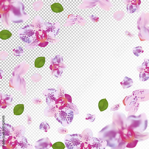 3D realistic orchid flower with green leaf. Orchid flower background. Delicate orchid in motion. Falling flowers on transparent background. Vector illustration. Vector illustration