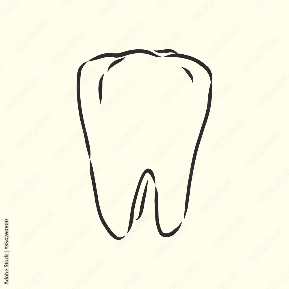 Hand-drawn black lines sketch molar, tooth. Doodle drawing. Object, Element, manuals, books or packaging, isolated vector . human tooth, vector sketch illustration Hand-drawn black lines sketch molar, tooth. Doodle drawing. Object, Element, manuals, books or packaging, isolated vector . human tooth, vector sketch illustration