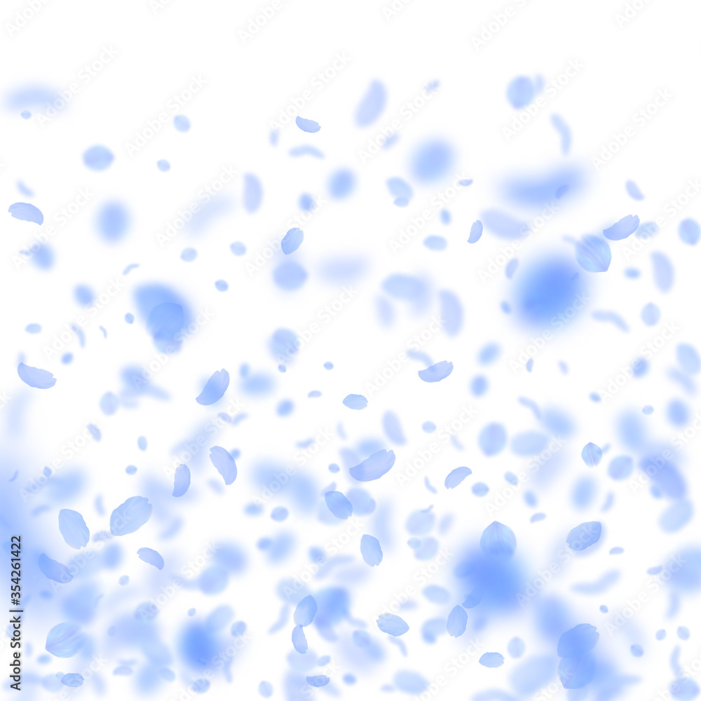 Dark blue flower petals falling down. Optimal roma Dark blue flower petals falling down. Optimal roma