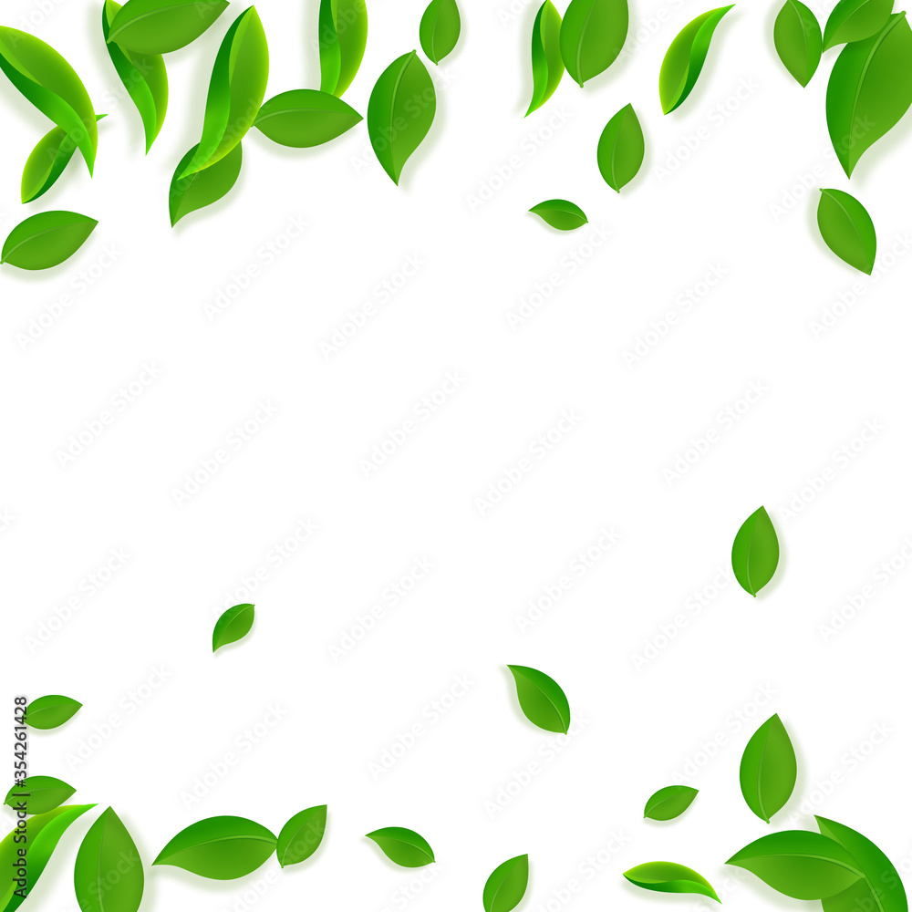 Falling green leaves. Fresh tea chaotic leaves fly Falling green leaves. Fresh tea chaotic leaves fly