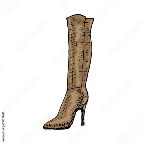 vector women's shoes