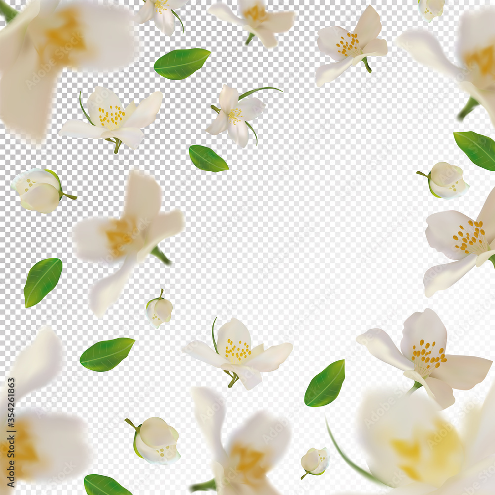 3D realistic jasmine with green leaf. White jasmine flower in motion. Beautiful jasmine background. Falling flower jasmine. Vector illustration. Vector illustration.