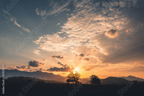Countryside,Cows fields and evening light © artrachen