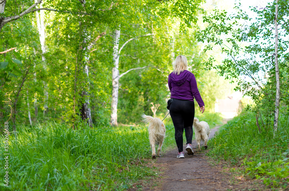 Αυτοκόλλητο Caucasian woman with her dogs walking in the forest
