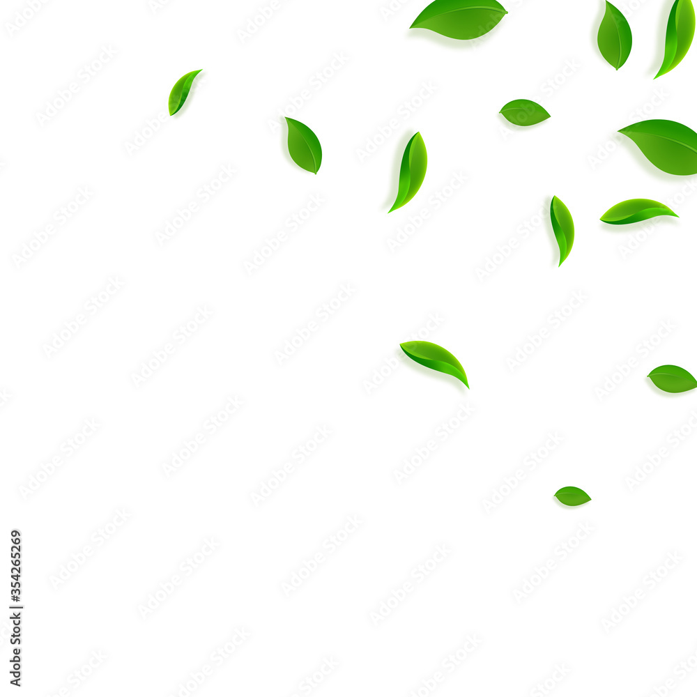 Falling green leaves. Fresh tea chaotic leaves fly Falling green leaves. Fresh tea chaotic leaves fly