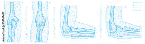 Human elbow joint polygonal vector illustration. photo