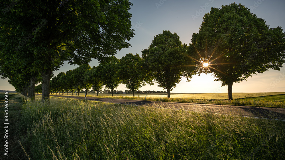 Obraz premium Route Impériale 4 (L401) bei Mauchenheim (Rheinhessen)